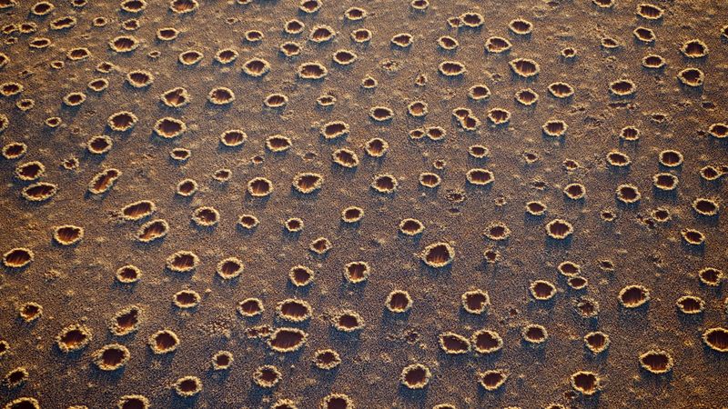 The secret of Namibia's 'fairy circles' may be explained at last, Biology