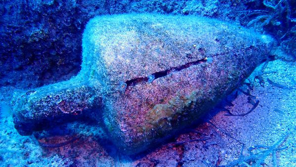 Tube worms in the crack thumbnail