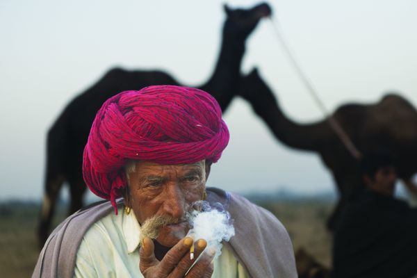 Camel Herder in Pushkar thumbnail