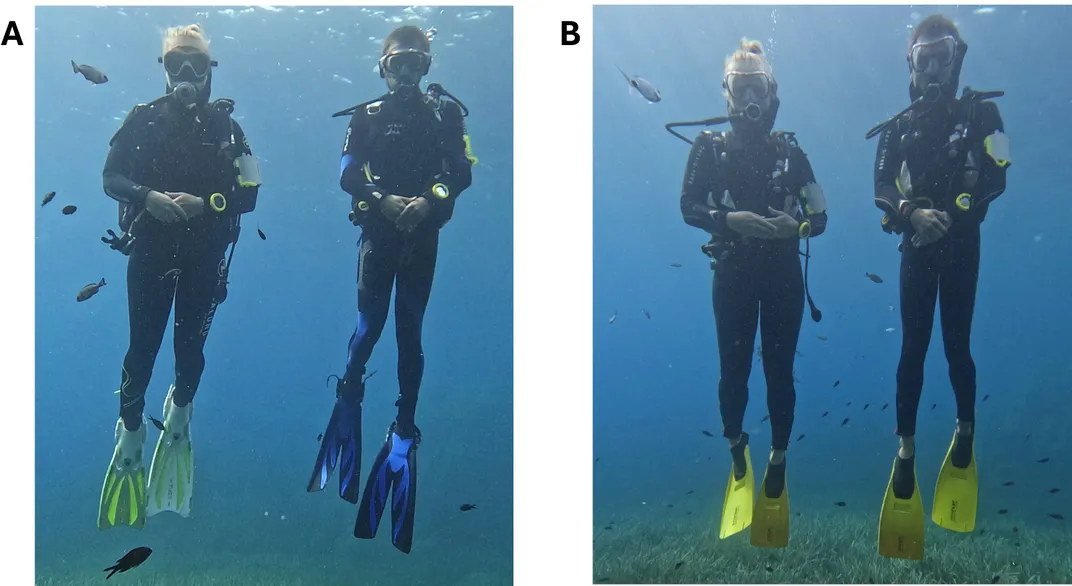 two images showing divers wearing differently colored gear and identical gear