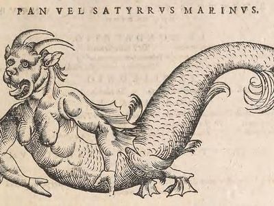 A "Sea Devil" as depicted by Conrad Gessner in Historia Animalium, 2nd ed, 1604.