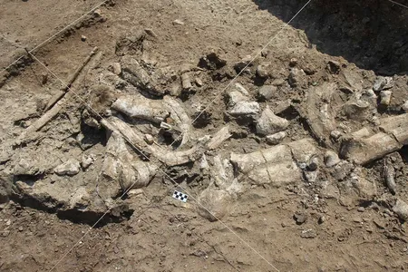 A fossil hippo skeleton and associated Oldowan artifacts were exposed at the Nyayanga site.
