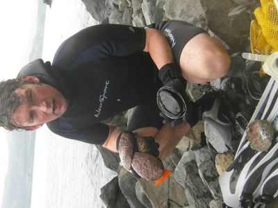Andrew Bland, brother of the author, shivers and shakes after a frigid abalone, or paua, dive in Akaroa Harbour.
