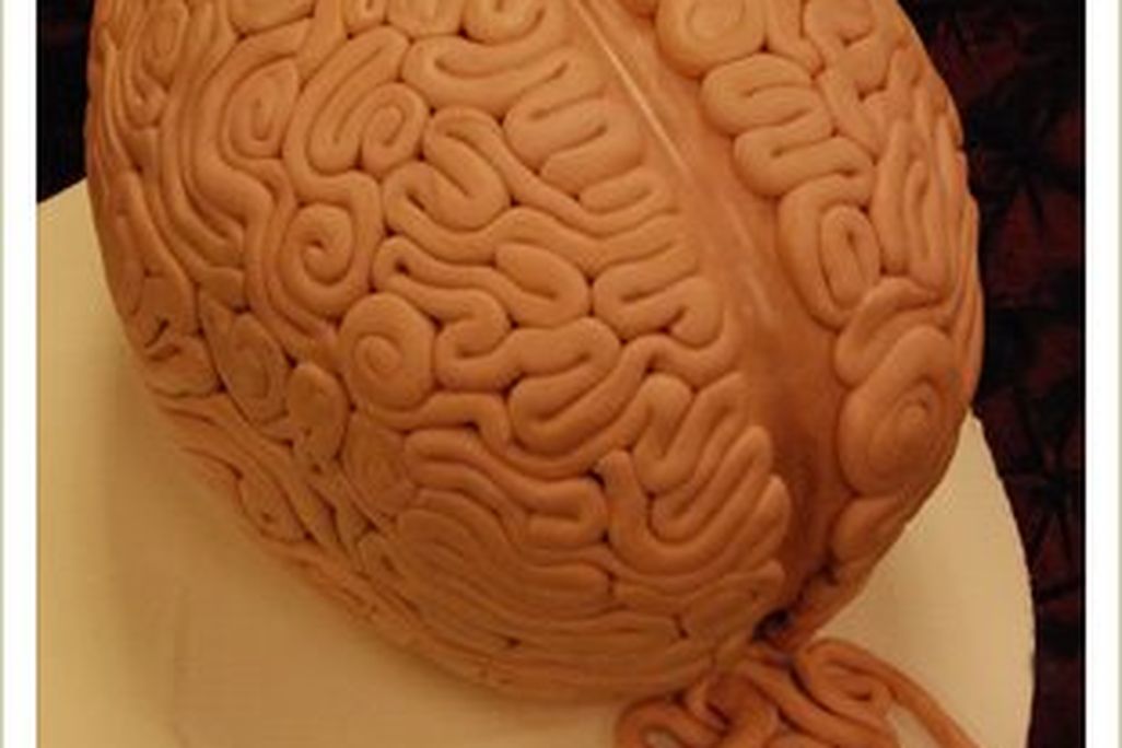 20110520104026braincake.jpg