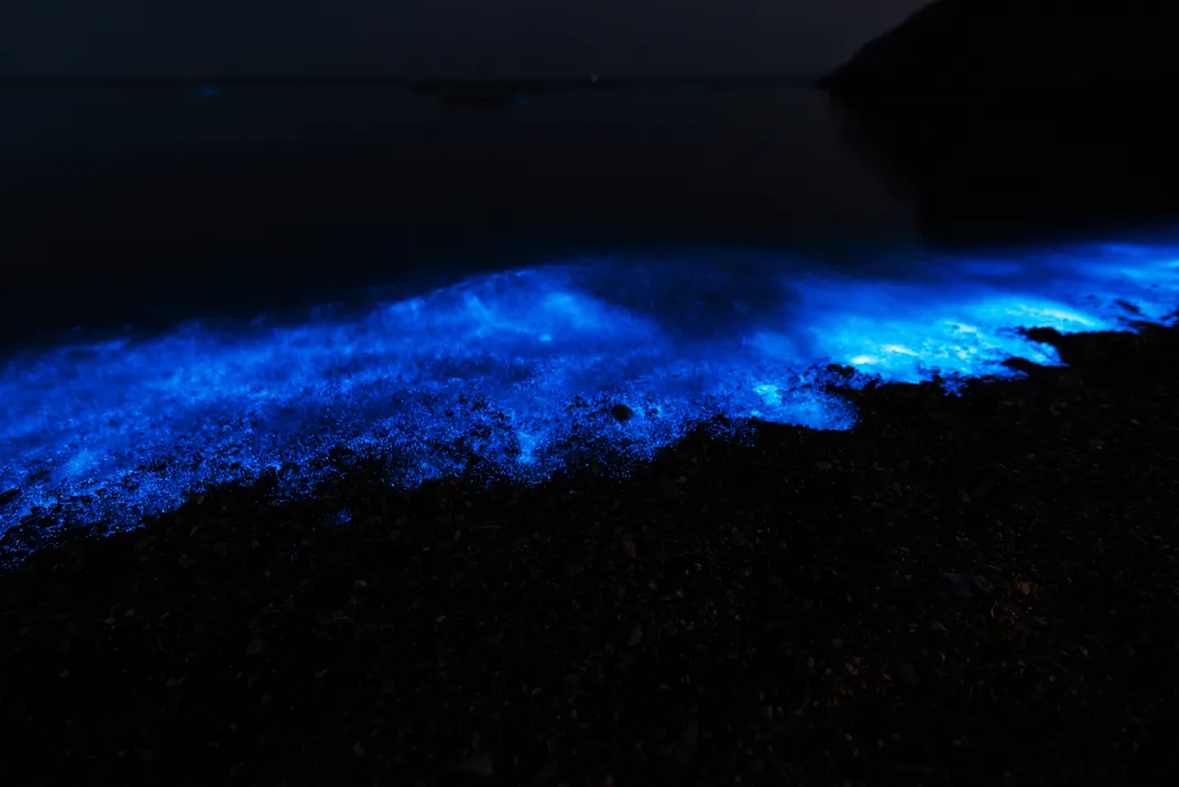 bioluminescence