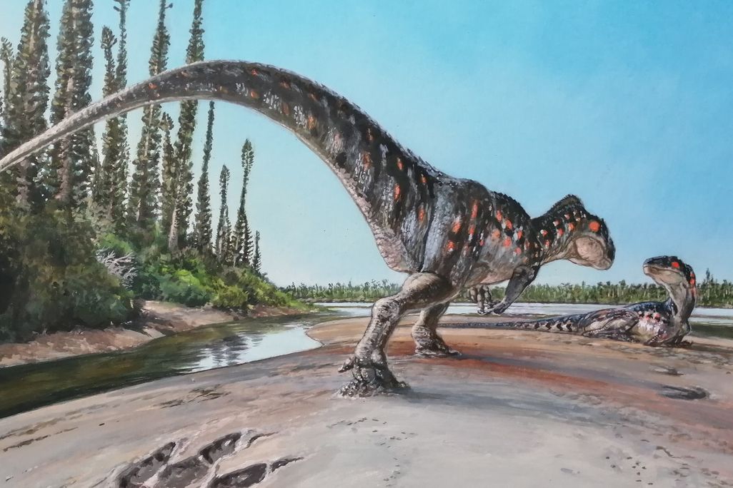 Illustration of one dinosaur standing and another laying down on a coastline