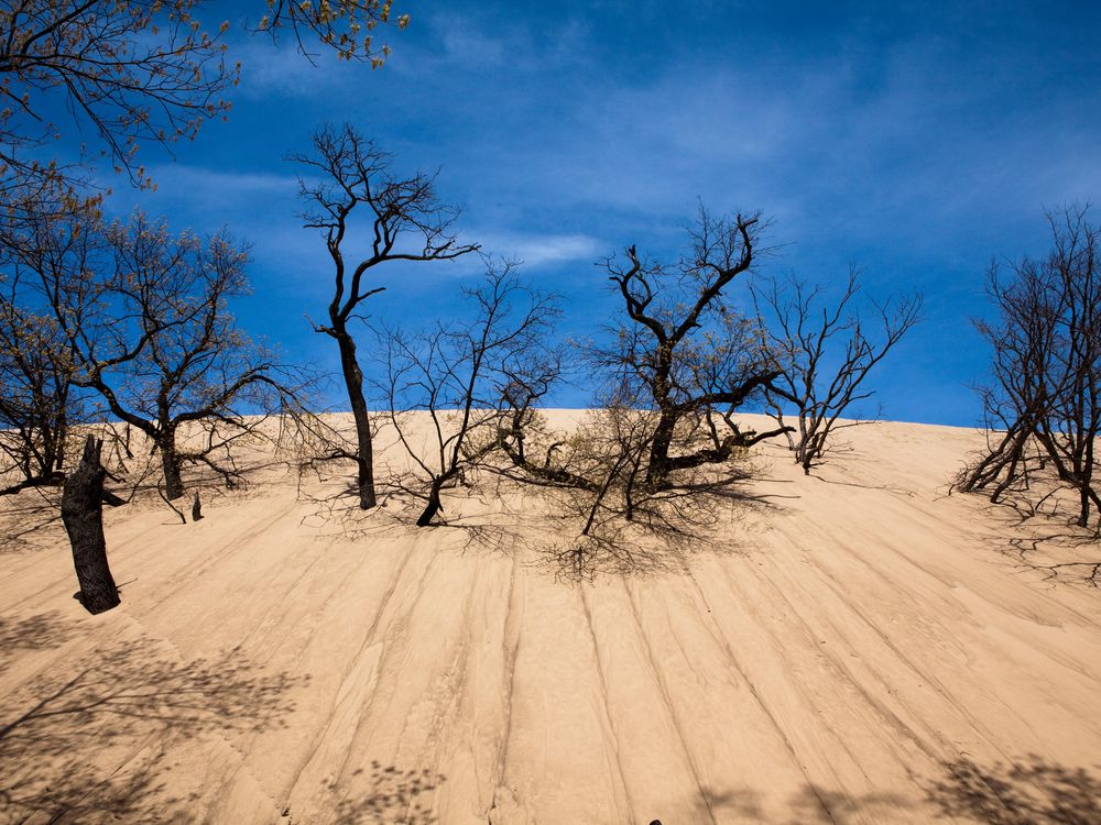 World's record-breaking sand dunes