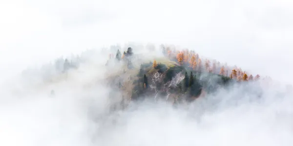 Foggy Landscape thumbnail