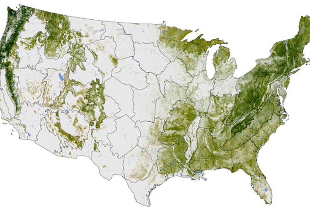 2120111-forestmap.jpg