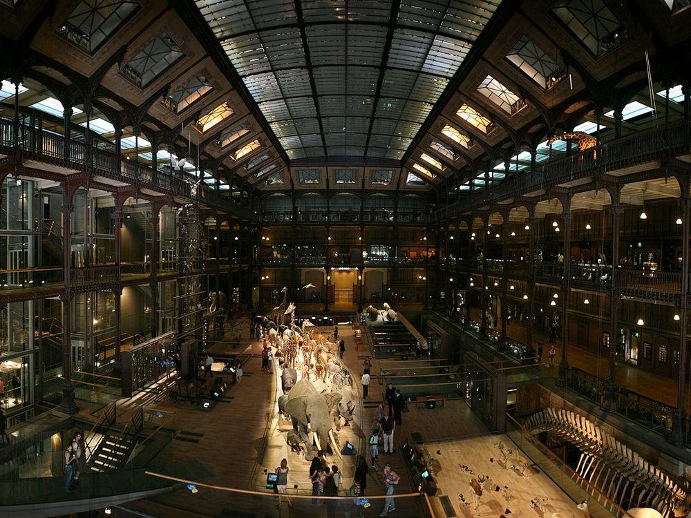 Grand Gallery of Evolution in the National Museum of Natural History in Paris, France