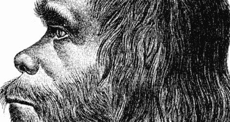 What's going on in this guy's head? Read How to Think Like a Neanderthal to find out.