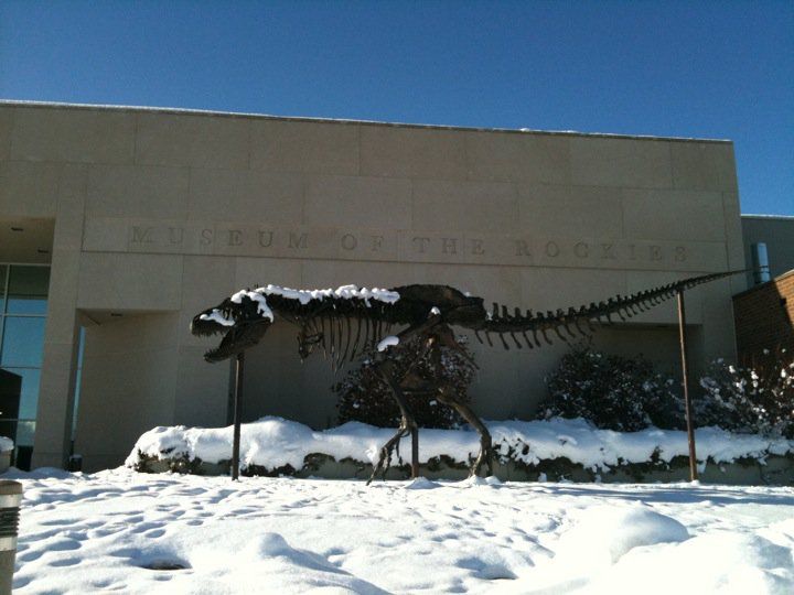 20110520083251tyrannosaurus-in-snow.jpg