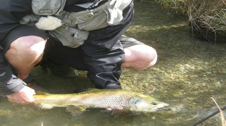Andrew, bundled against the blazing sun, releases a big brown trout.