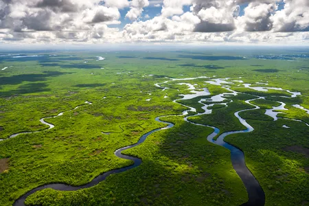 Florida's Everglades was recognized for being a dynamic ecosystem worth protecting as a national park beginning in 1947.