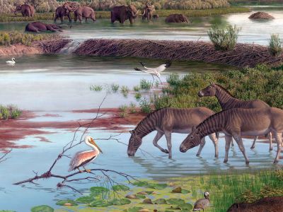 The title page painting in Jay Matternes: Paleoartist and Wildlife Painter features a dynamic scene from the Pliocene.