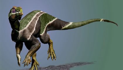 New Beaked Dinosaur Species Found in Utah