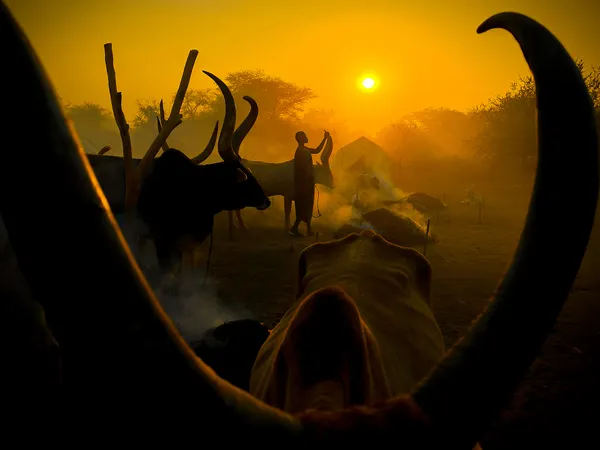 Back to the Past thumbnail