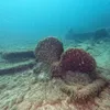 This Shipwreck's Location Was a Mystery for 129 Years. Then, Two Men Found It Just Minutes Into a Three-Day Search icon