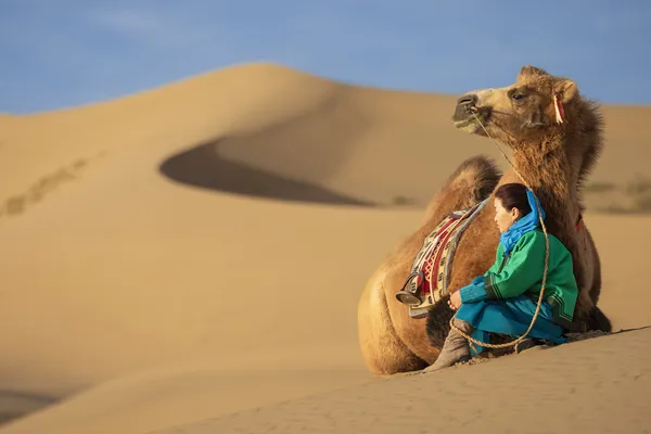 Camel Herder Resting, Gobi Desert thumbnail