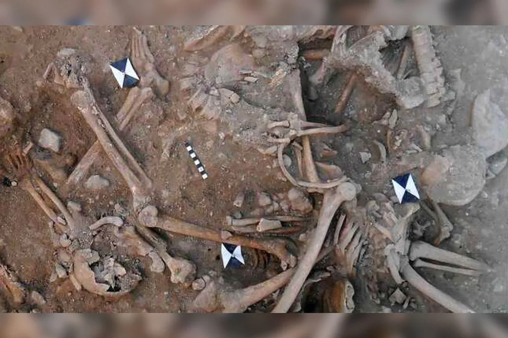 Bones in Crusader mass grave