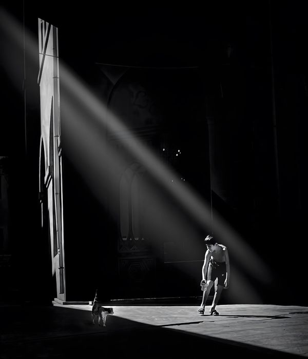 Playful Moment thumbnail