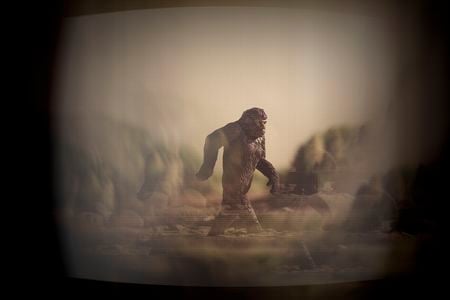 Bigfoot is still a big deal to many conspiracy theorists.