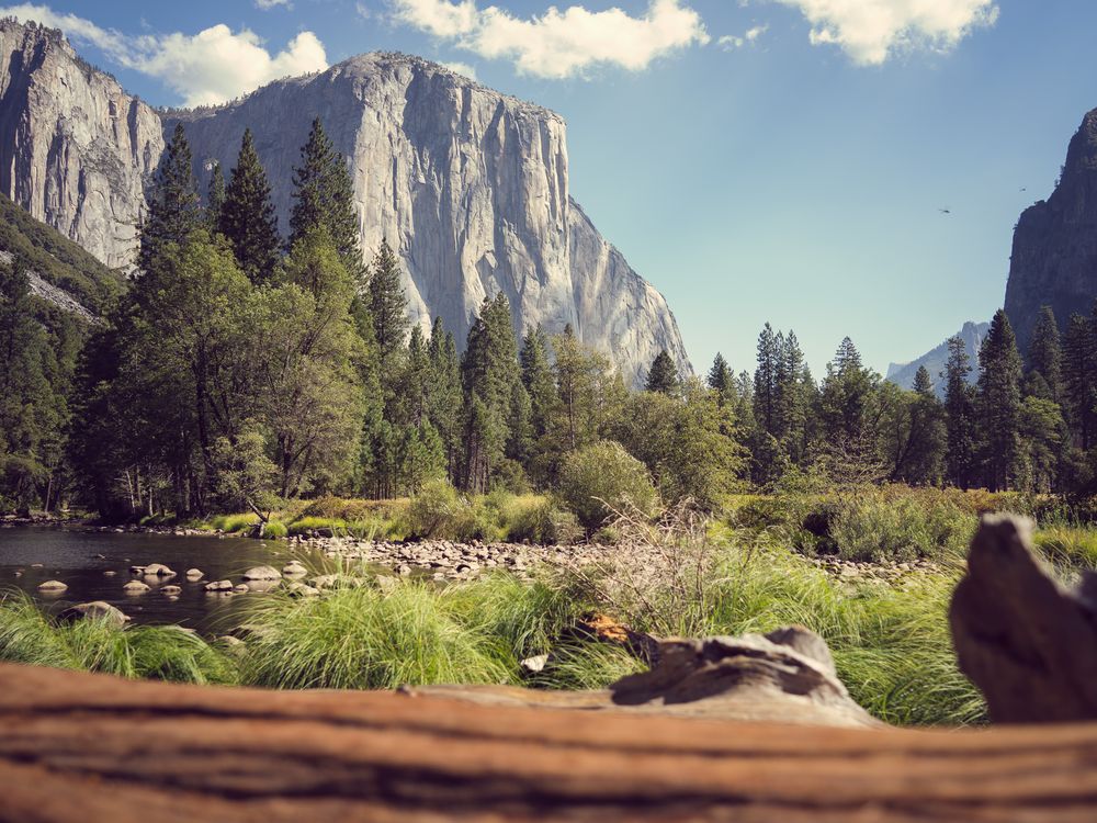 Yosemite National Park