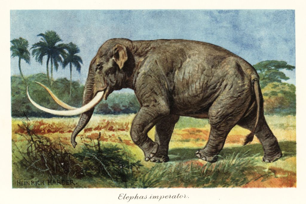 An illustration of a large, tusked mammoth against a natural backdrop