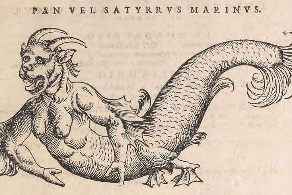 Sea Devil