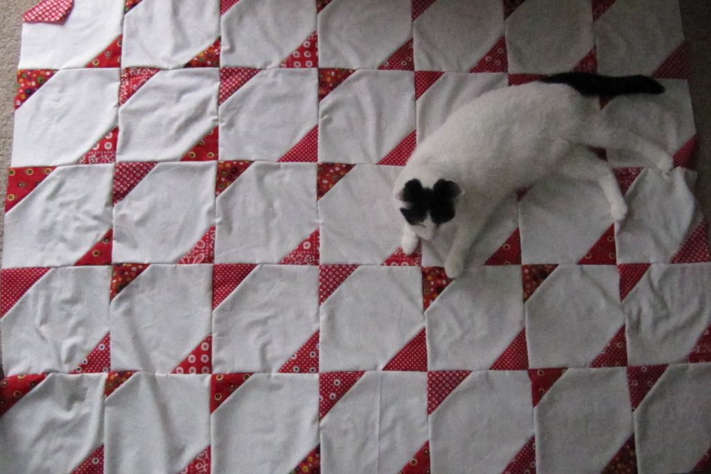 Stitched from the Soul: Slave Quilts from the Antebellum South