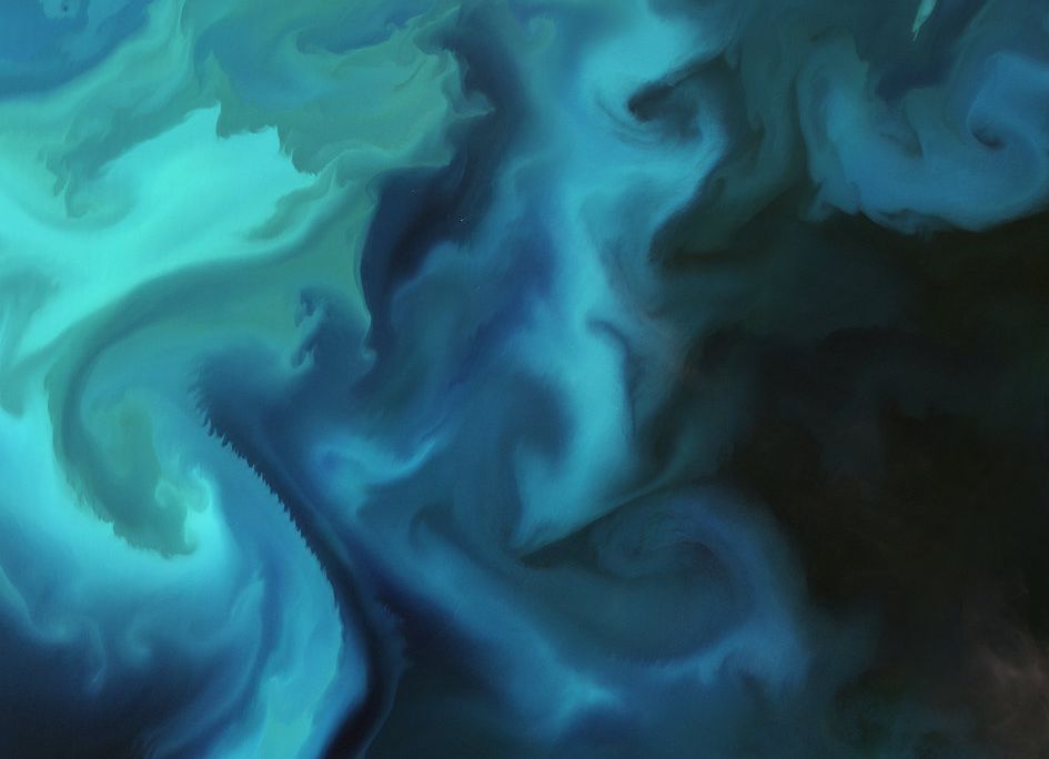 Barents_bloom_fullwidth.jpg