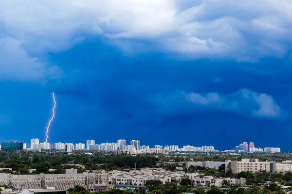 Florida Lightning thumbnail