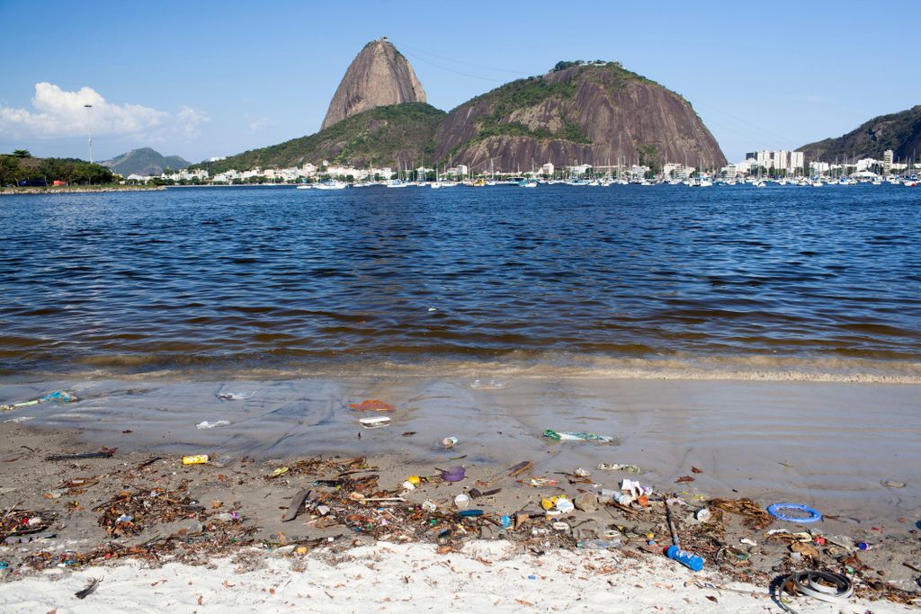 gross rio