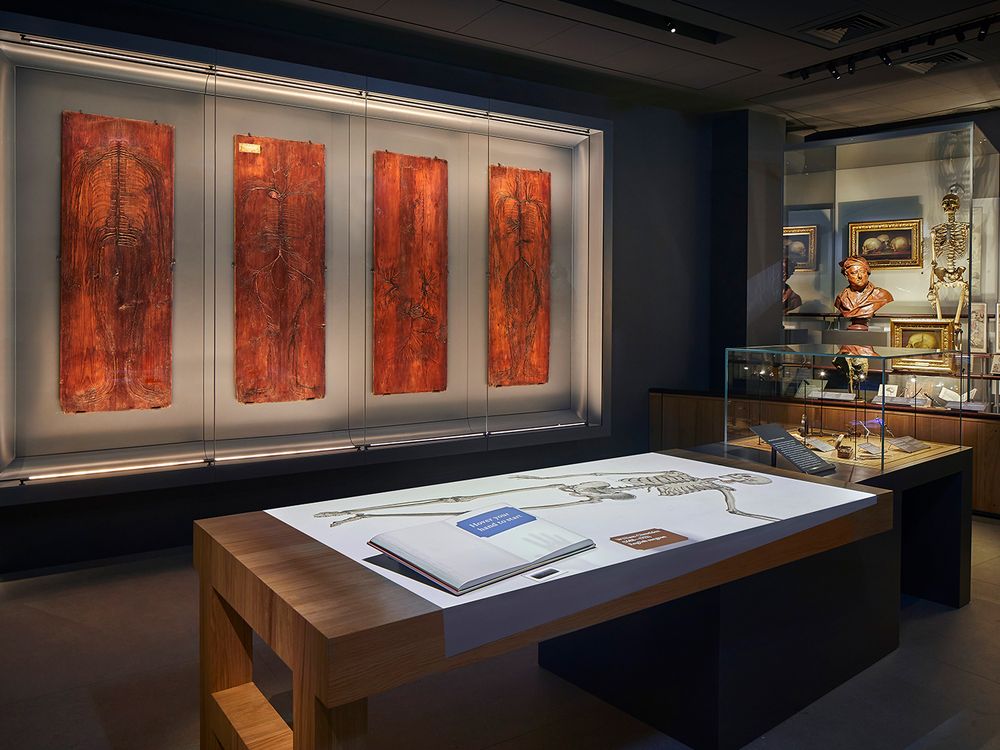 Skin tables on view at the Hunterian