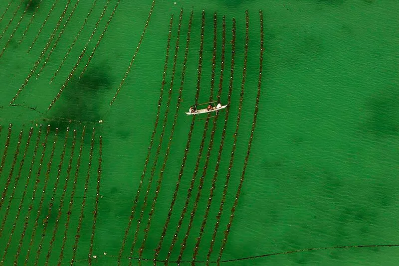 The Most Irish Town in America Was Built on Seaweed