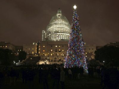 Part of the Capitol Christmas Tree's splendor comes from marine debris collected along the Alaska coast.