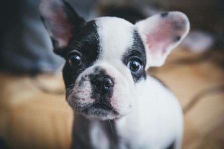 Who’s a smart boy?