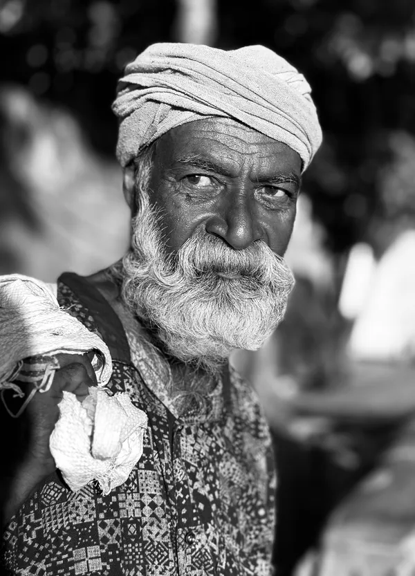 The rag picker.. thumbnail