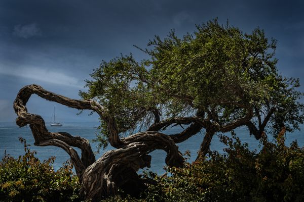 Santa Barbara Beach thumbnail