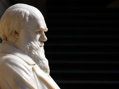 Charles Darwin statue at London’s Natural History Museum