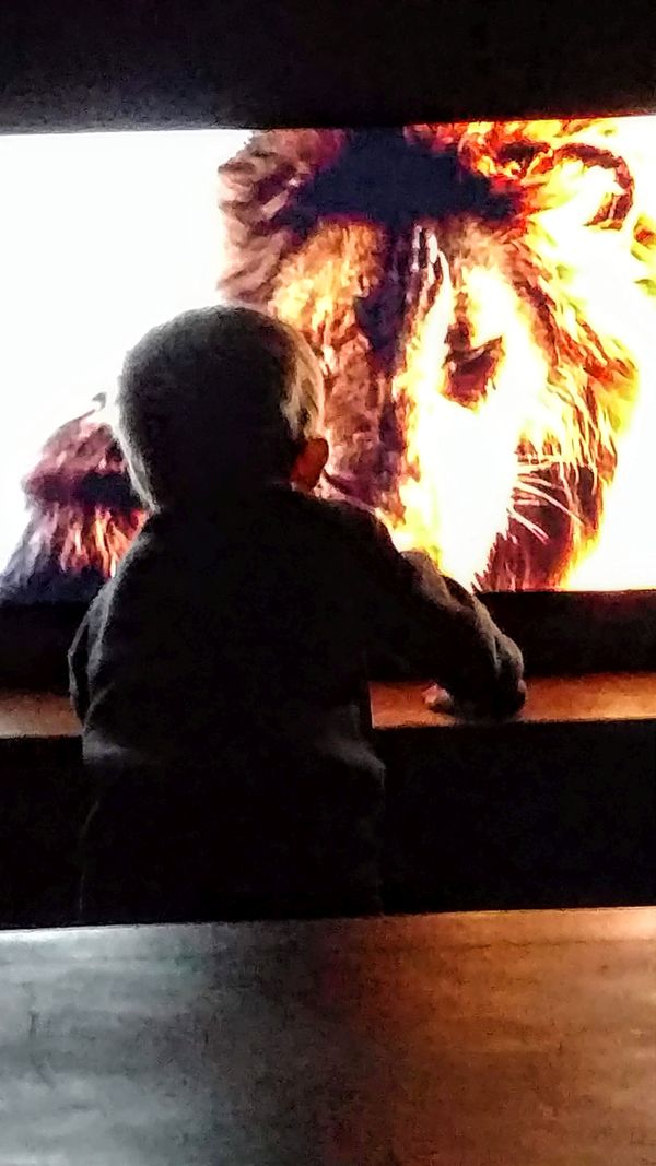 Child watching the Lion King in a dark room thumbnail