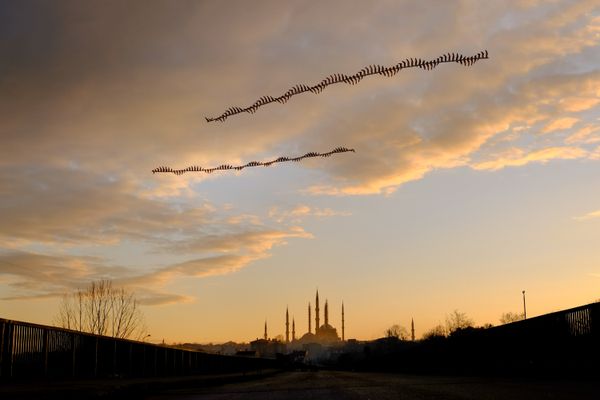 Selimiye Mosque of Mimar Sinan, one of the most important architects of the world, and the birds flying over it. thumbnail