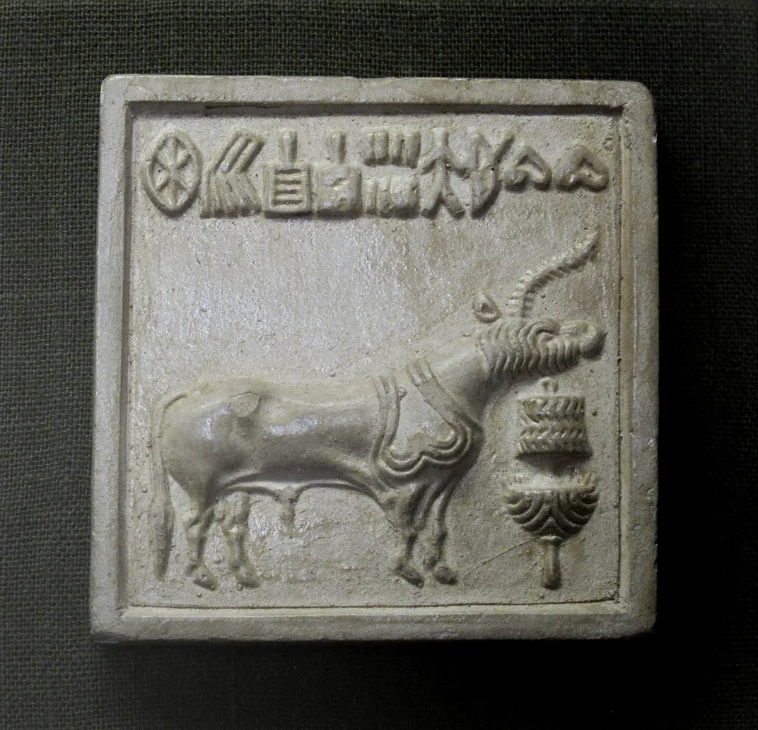 Unicorn