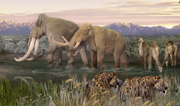 Elephant-like mammoth and mastodons trudge across a pond while a group of giant camels stop for a drink. In the background are snow-capped mountains. Crouching in the grassy foreground are a pair of sabertooth cats.