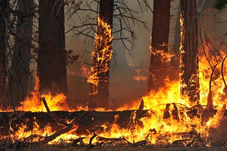 Annual forest fires blaze on the floor of Yosemite Valley, California in 2015.