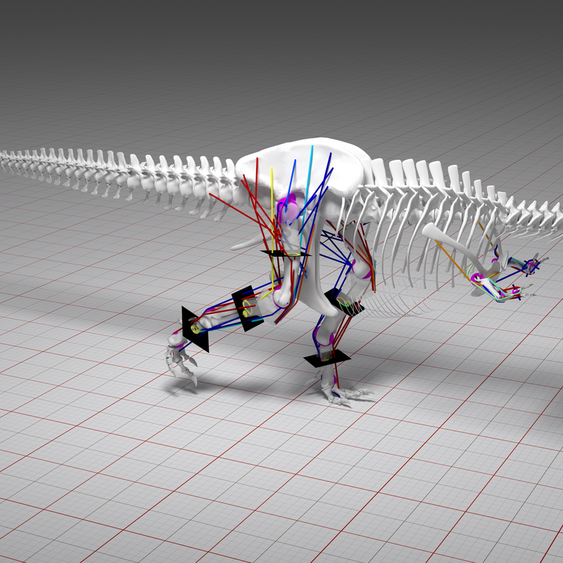 T-rex dinosaur could not have run at high speed, says study