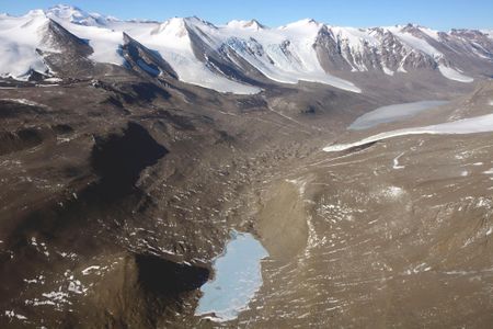Might other areas of Antarctica not covered by snow and ice also have bacteria that take their energy from the oxidation of trace gases?