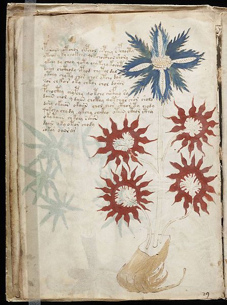 20110520102433446px-Voynich_Manuscript_32.jpg