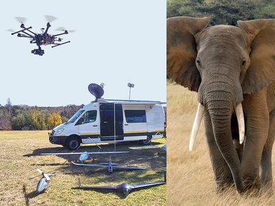 Air Shepherd uses a variety of virtually silent drones in African wildlife parks to catch poachers before they can act. 
