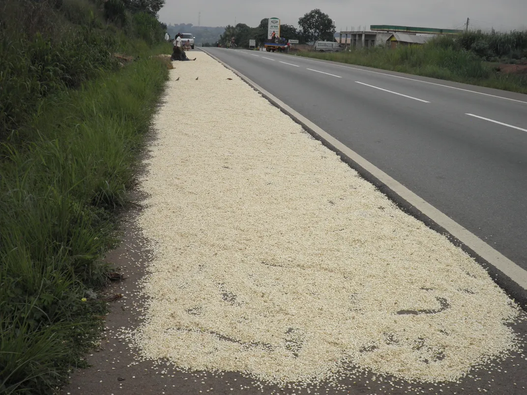 roadside crop drying